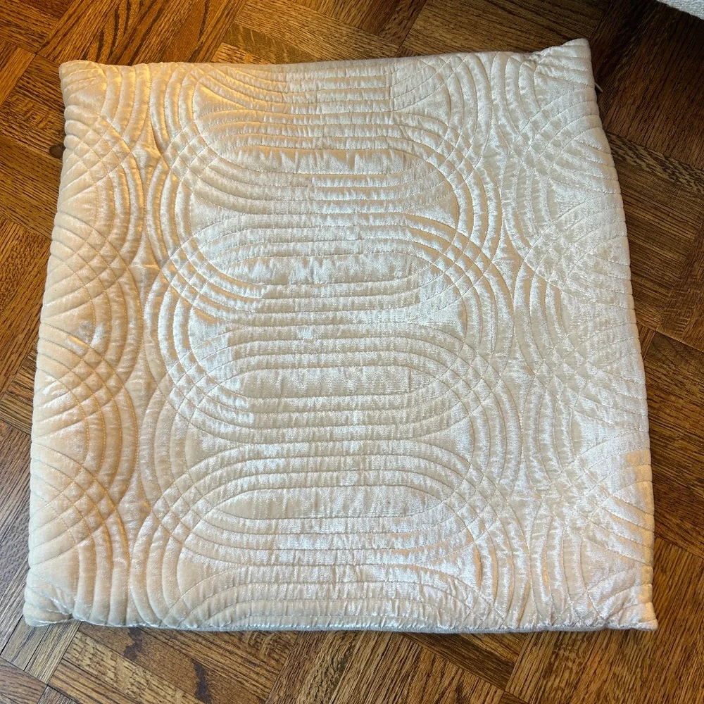 West Elm Lush Velvet Infinity Quilted Pillow Cover, Champagne, 20x20